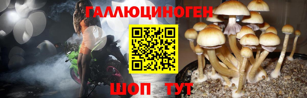 Галлюциногенные грибы MAGIC MUSHROOMS Борисоглебск