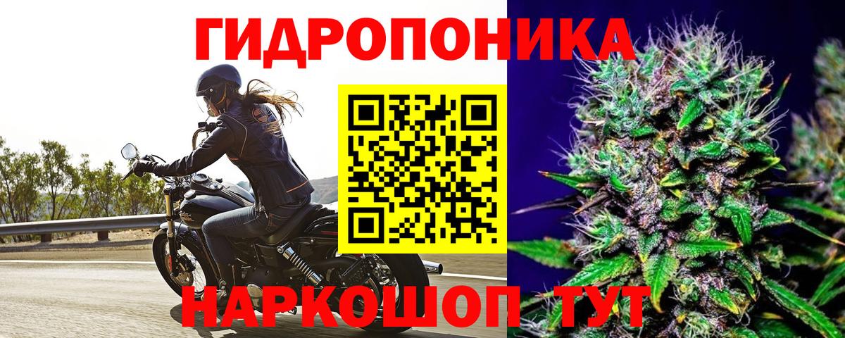 Бошки марихуана ГИДРОПОН Борисоглебск